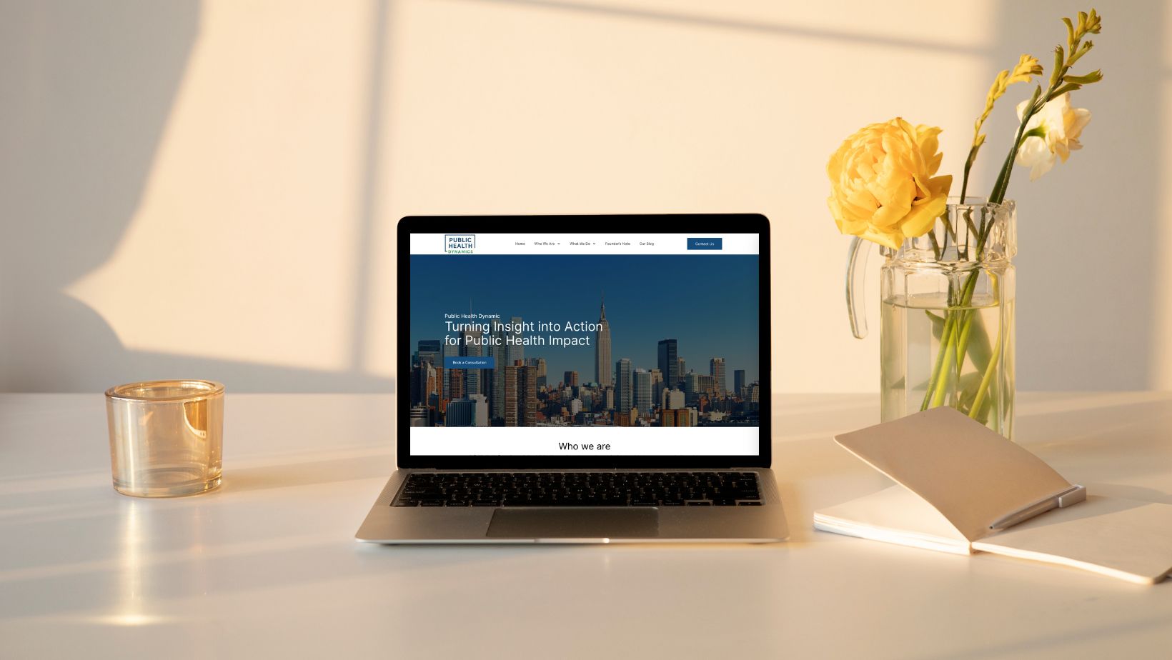 Public Health Dynamic website